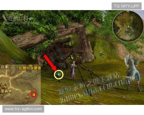 ag旗舰厅首页客服为新手玩家提供详细操作指导，助您顺利开启精彩的游戏体验